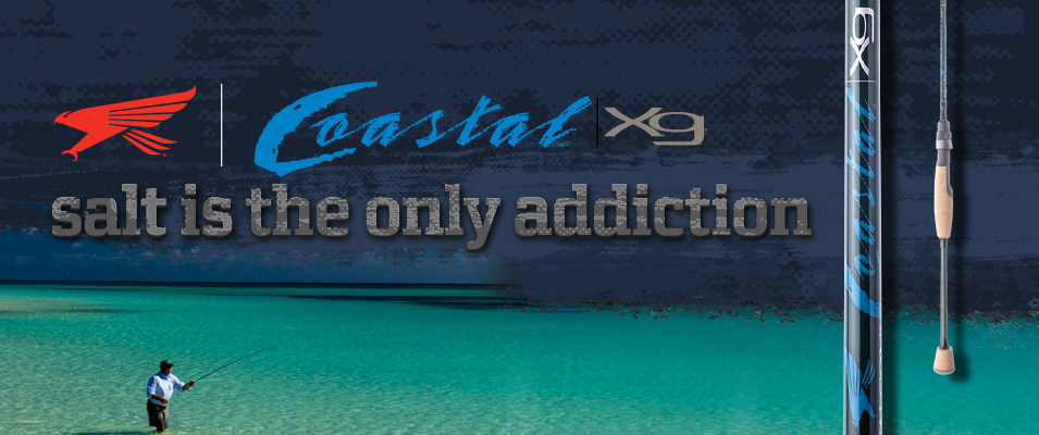 Immagine del prodotto Falcon Coastal Xg Spinning Rods